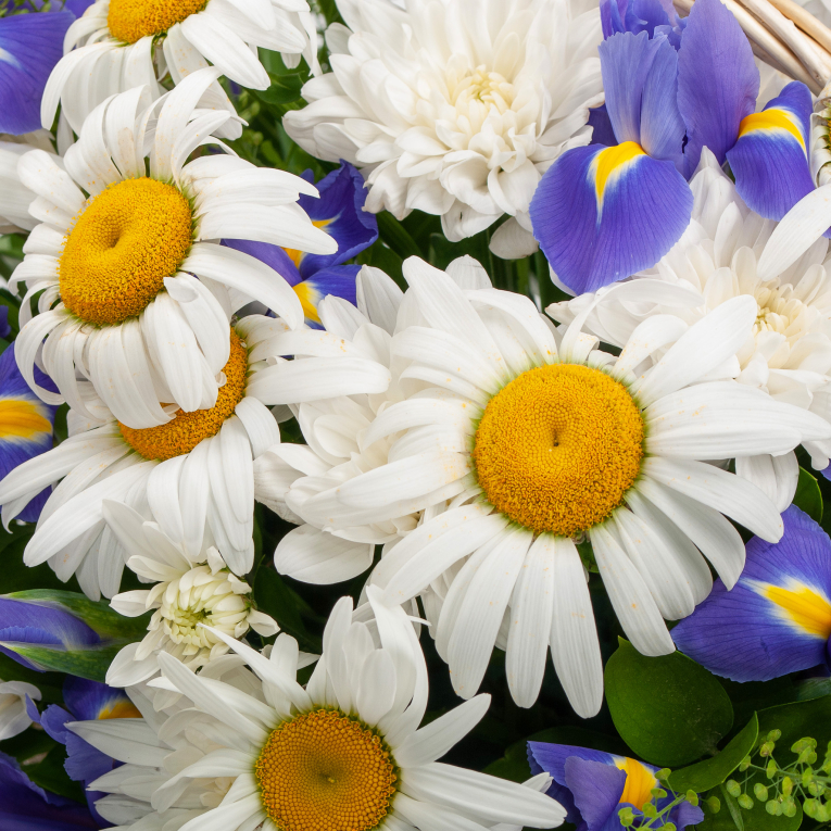 Букет в корзине Звезды на рассвете