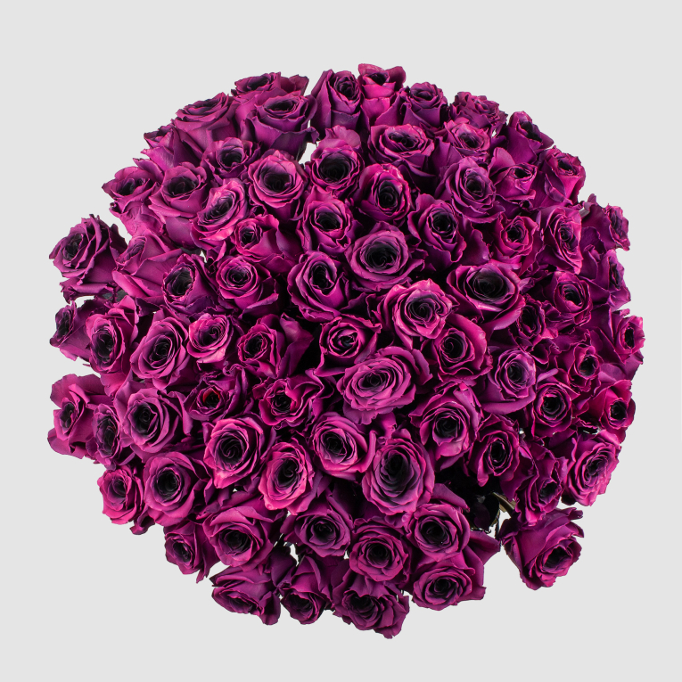 Букет 75 роз Одна любовь