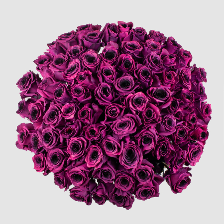 Букет 75 роз Одна любовь