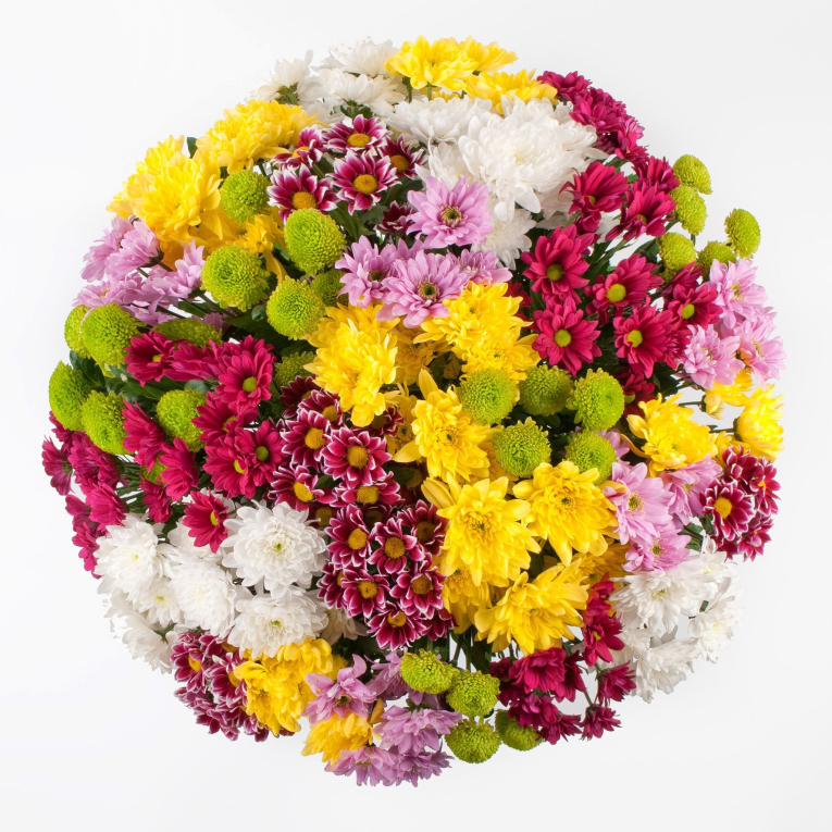 Букет 31 кустовая хризантема + Десерт в ПОДАРОК!