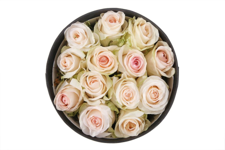 Букет 13 роз Сеньорита в шляпной коробке