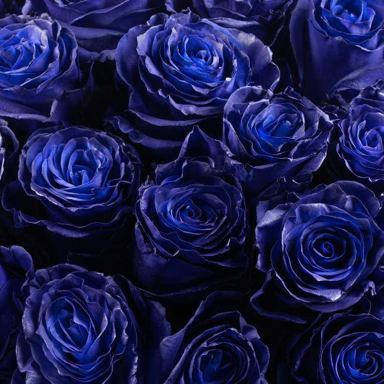 Букет 101 роза Синее озеро