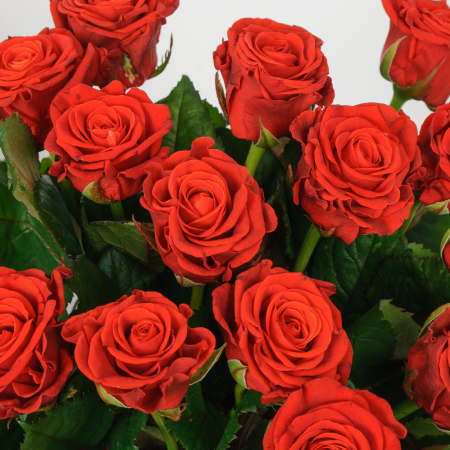 Букет из 15 роз Эль Торо