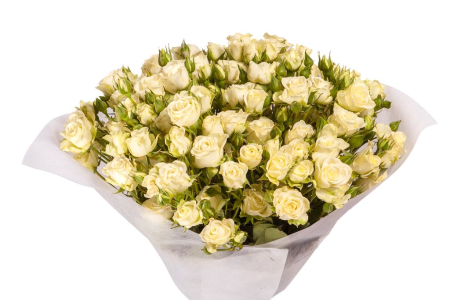 Букет 19 белых кустовых роз