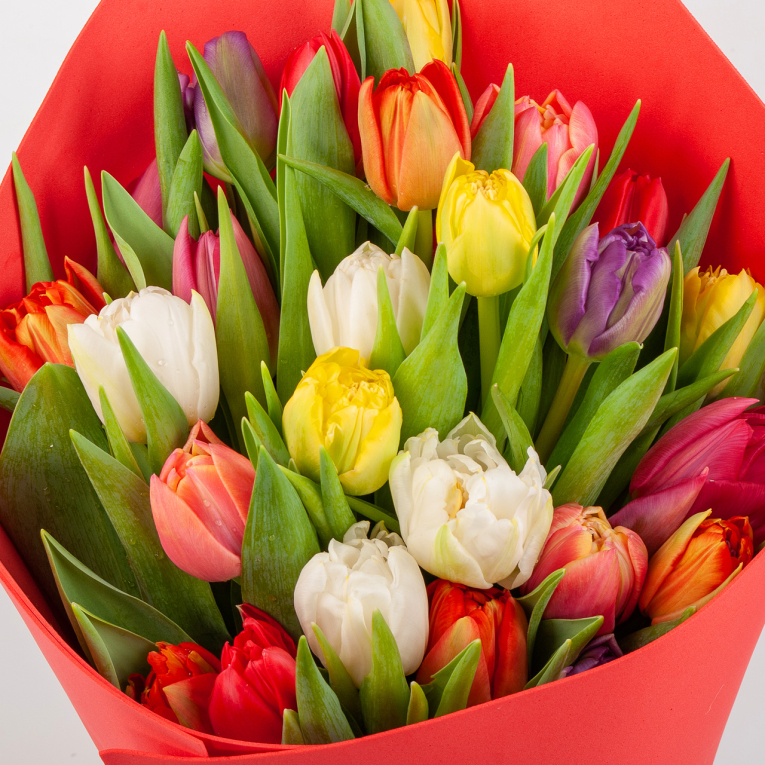 Букет из тюльпанов Пора любви (миди)
