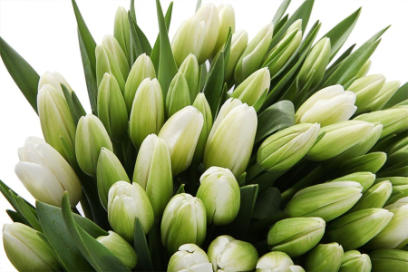 Композиция Кантри