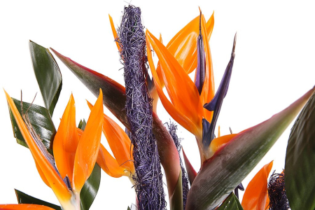 Букет Виртуоз