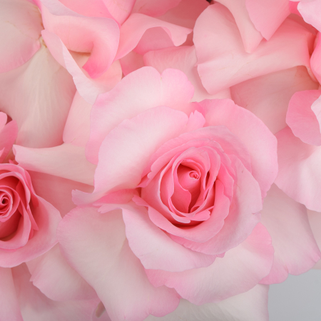 Букет в коробке Розовый шелк