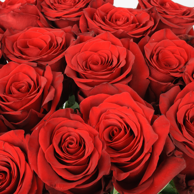 Букет 15 роза Высокие чувства