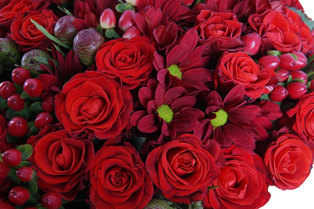 Любящее сердце