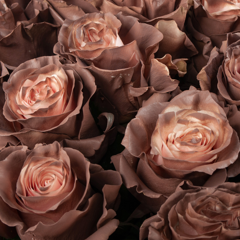 Букет 35 роз Кофе со сливками