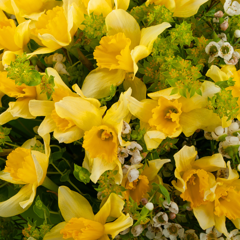 Букет Буйная весна