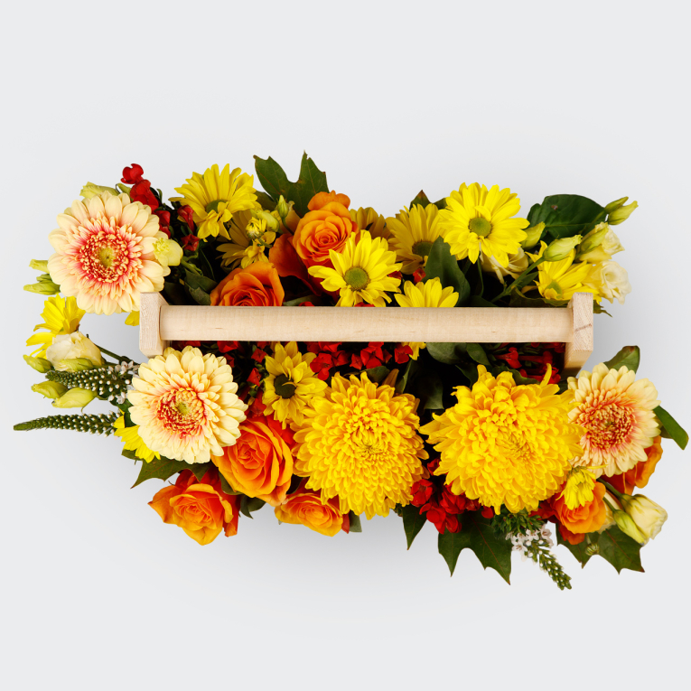 Композиция в кашпо Молодые и яркие