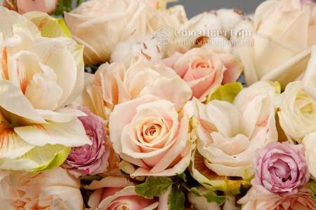 Букет в кашпо Сказочная страна