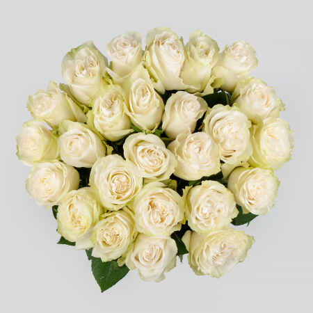 Букет 25 роз Мунстоун (Эквадор), 60 см