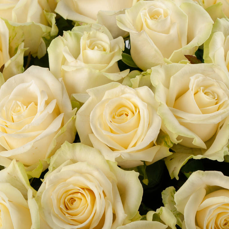 Букет из 35 роз Восторг любви