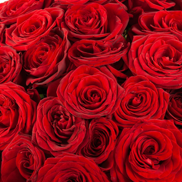 Букет из 51 розы Красная буква