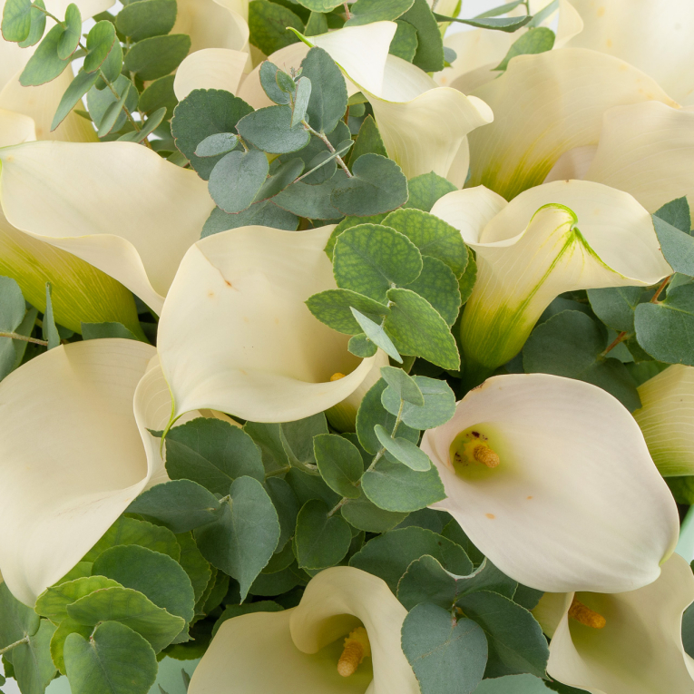 Букет в зеленой коробке Начало века (макси)