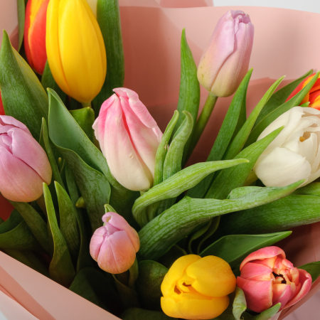 Букет 15 тюльпанов микс