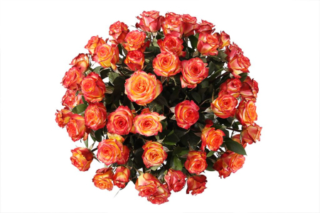 Букет 51 роза Хай Мэджик в корзине