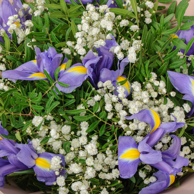 Букет Весенний ветерок