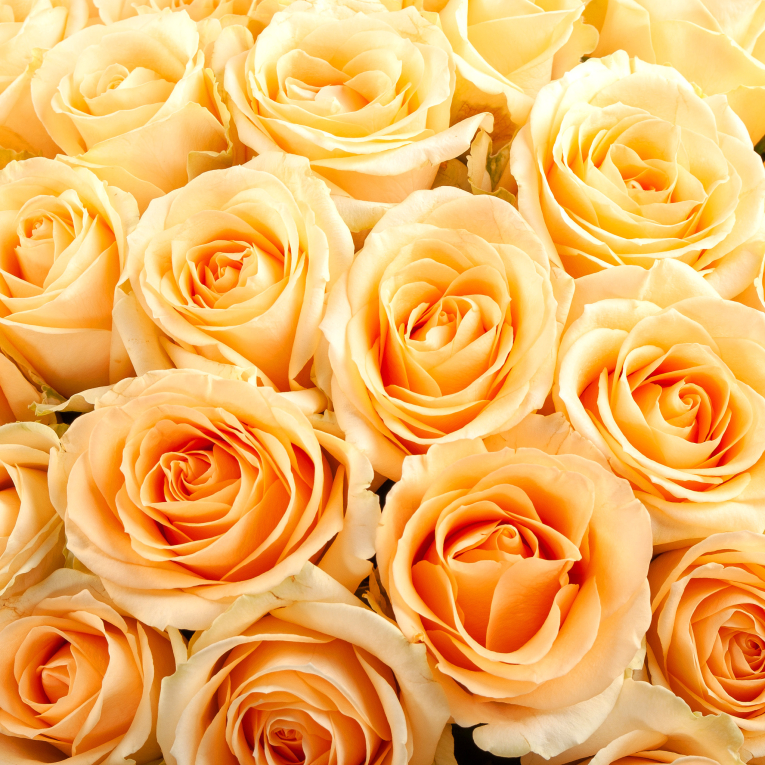 Букет из 101 розы Крем-брюле