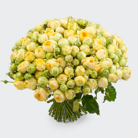 Букет из 51 розы Рождение Венеры