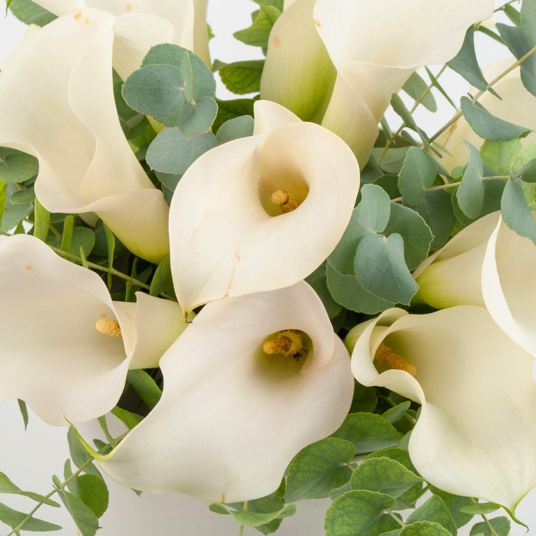 Букет в белой коробке Начало века (мини)