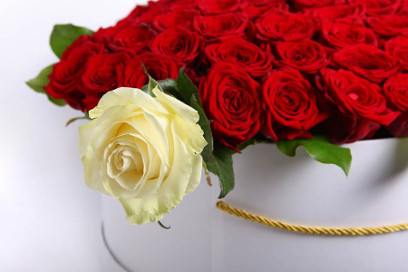 Букет Это любовь, 101 роза в коробке