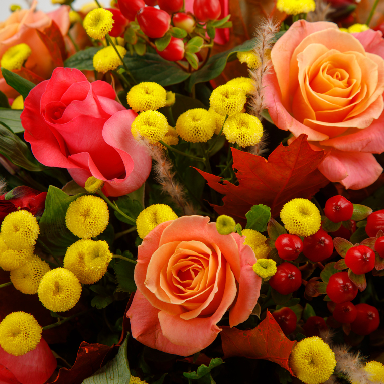 Букет в коробке Вспышка чувств