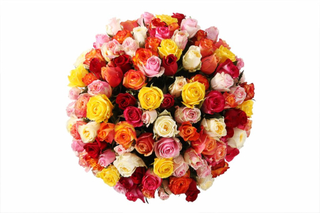 Букет Фламандская легенда (101 роза) в коробке