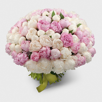 Букет 101 пион Мечта под облаками