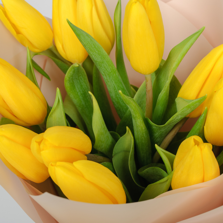 Букет 11 желтых тюльпанов