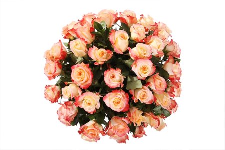 Букет 51 роза Кабаре в корзине