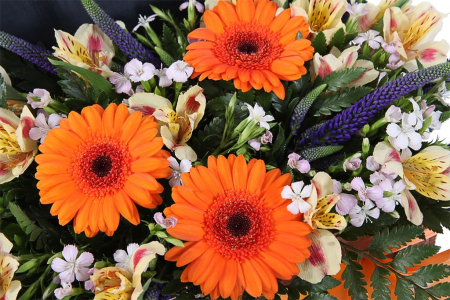 Букет Остров сокровищ в кашпо