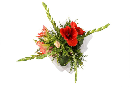 Букет Хвост кометы