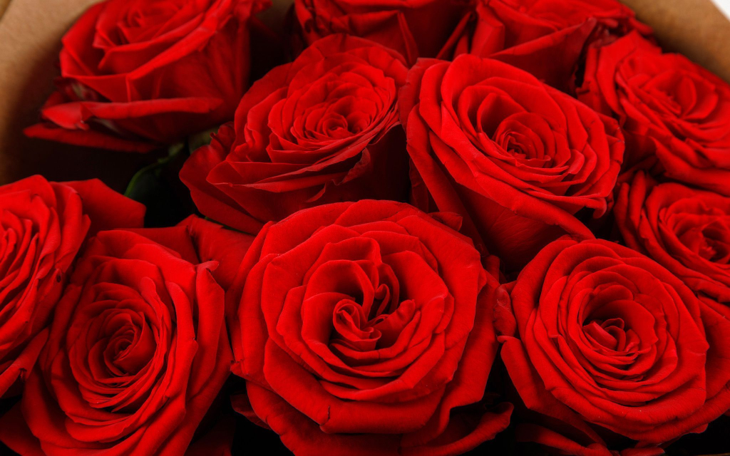 Букет из 11 красных роз Поцелуй меня