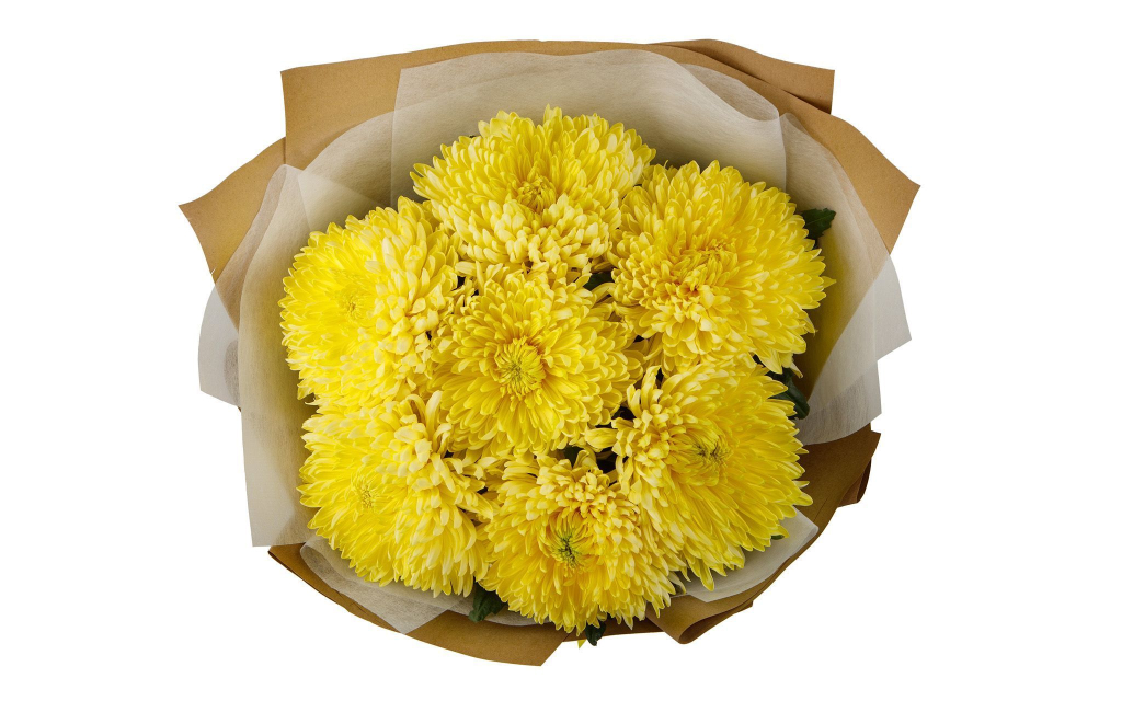 Букет из 7 желтых хризантем Сингл